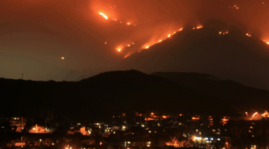 Wildfire Web Page 1600x600